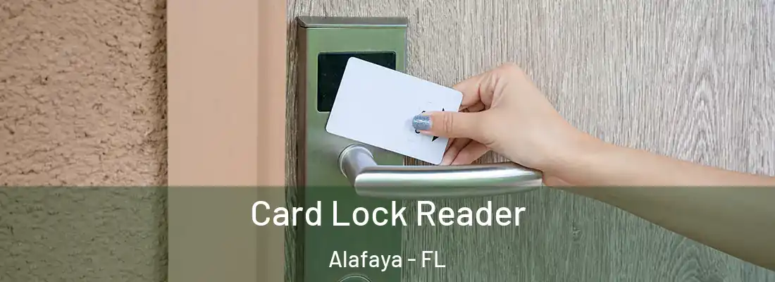 Card Lock Reader Alafaya - FL