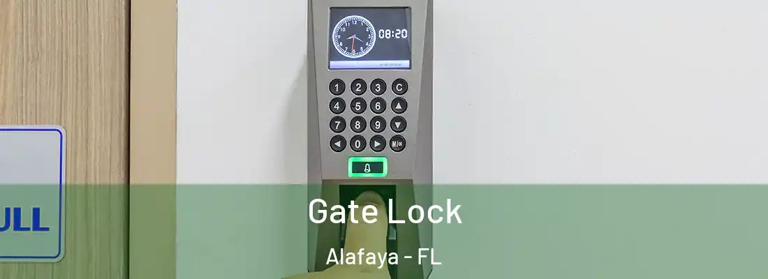 Gate Lock Alafaya - FL