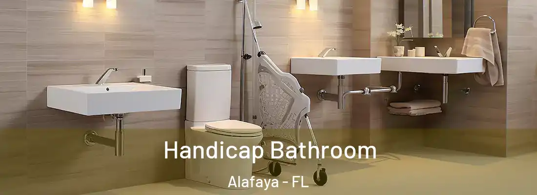 Handicap Bathroom Alafaya - FL