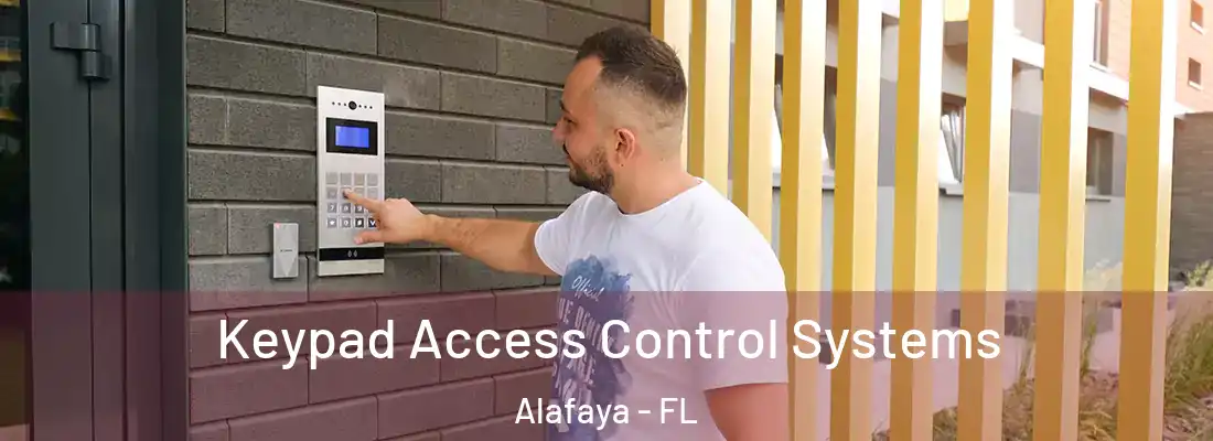 Keypad Access Control Systems Alafaya - FL